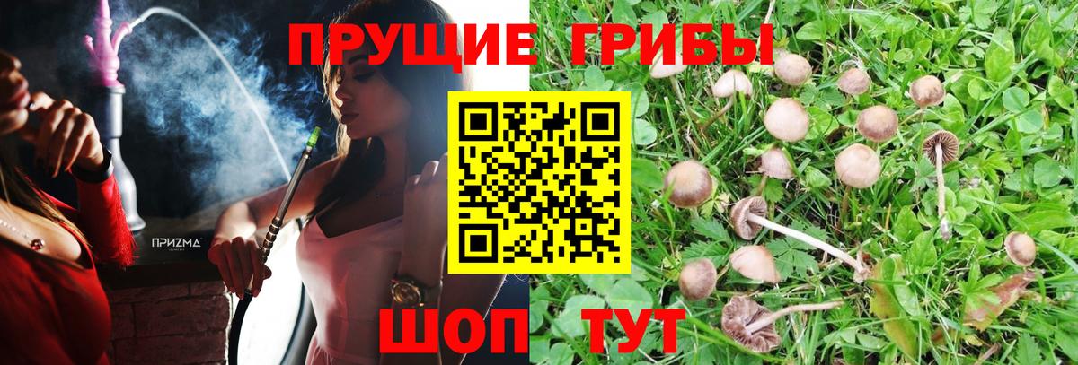 Галлюциногенные грибы Magic Shrooms  Вход с VPN  Советская Гавань  Псилоцибиновые грибы ЛСД 